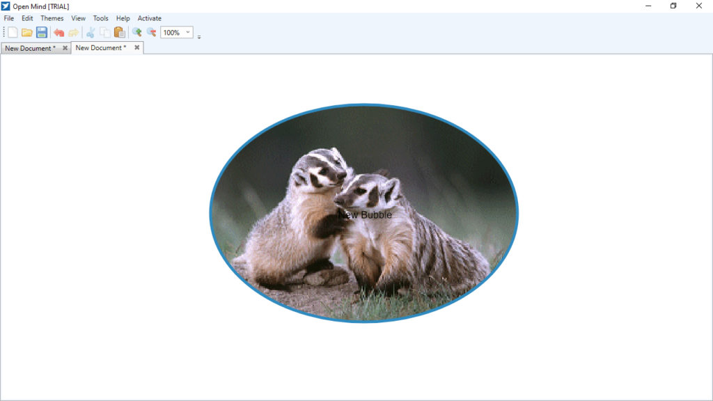 OpenMind Image import