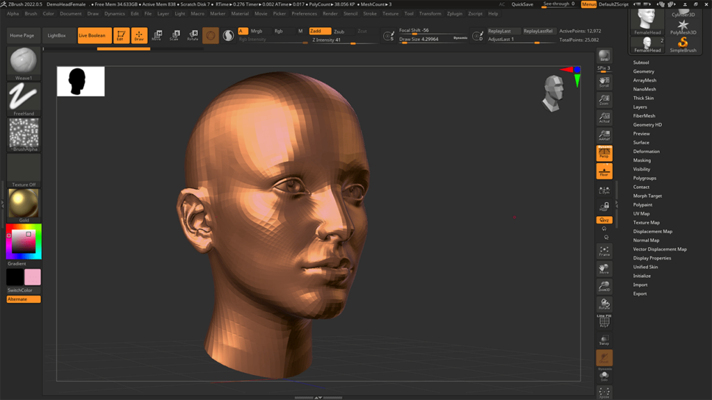 Zbrush Sculpting the model