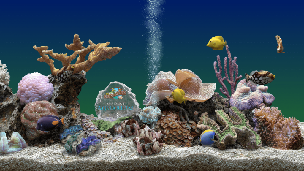 Marine Aquarium Preview