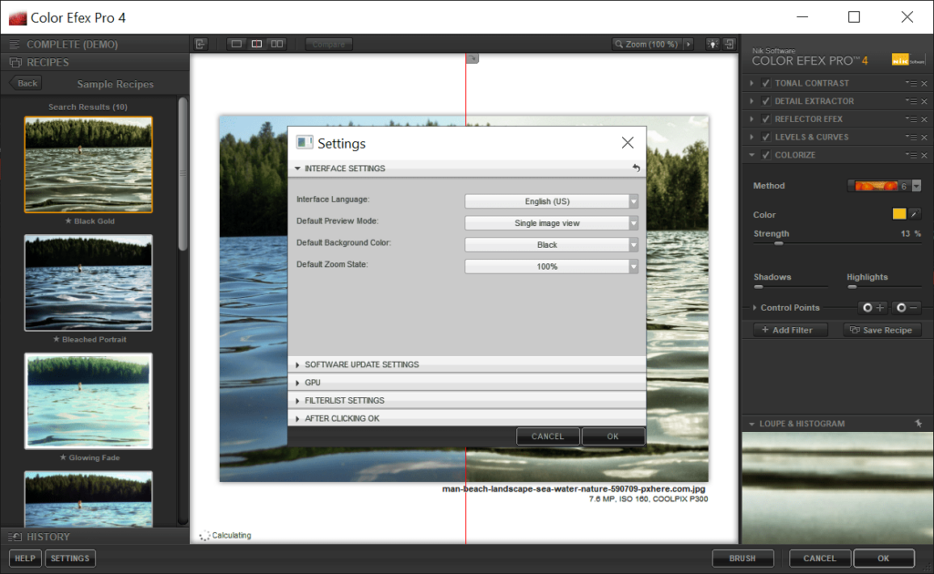 Nik Color Efex Pro Interface settings