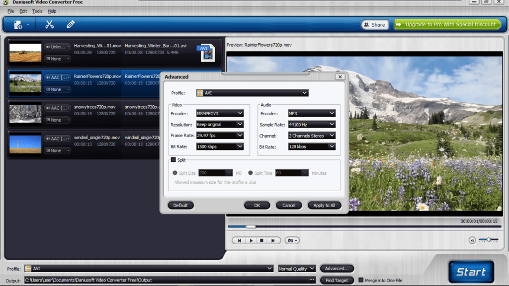 Daniusoft Video Converter Advanced settings