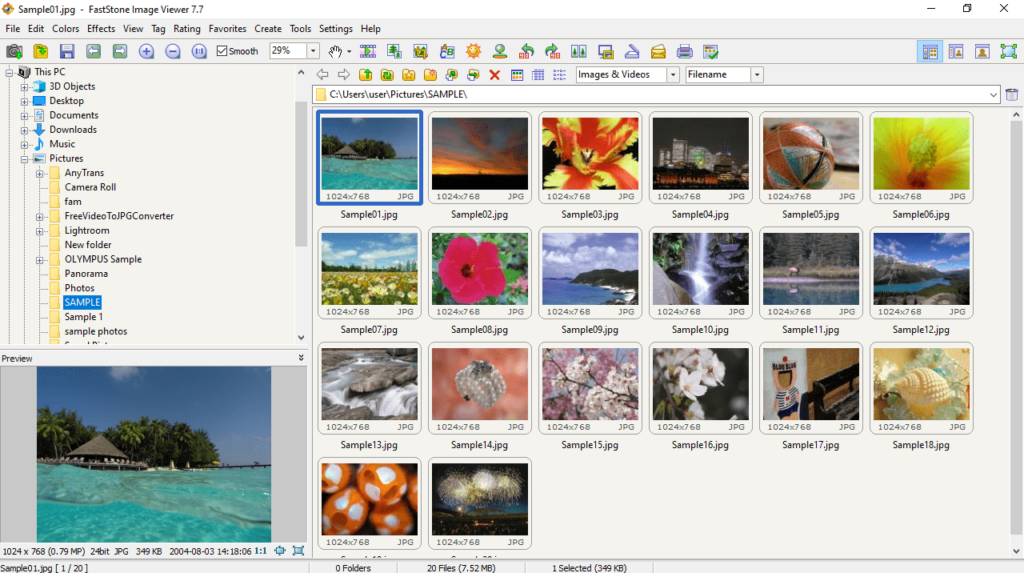 FastStone Image Viewer Image browser