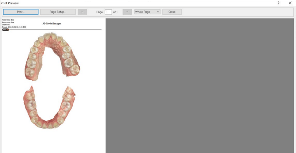 OrthoCAD Print preview