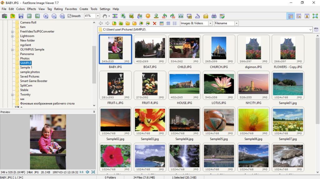 FastStone Capture Image viewer