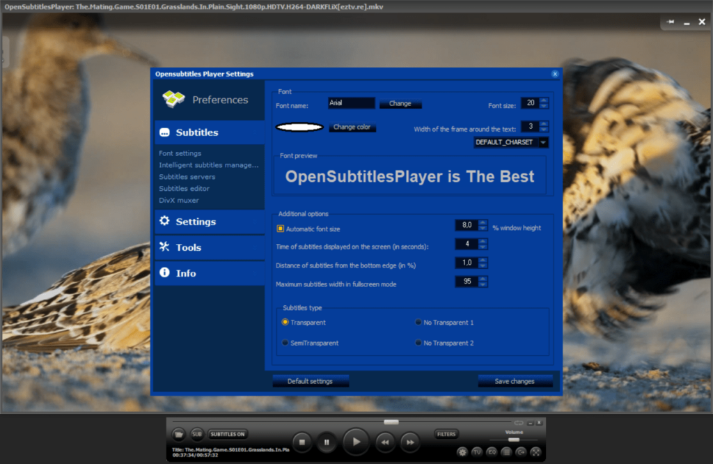 Open Subtitles MKV Player Subtitle parameters