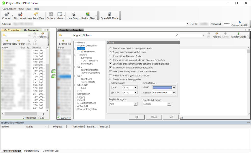 download ipswitch ws_ftp professional 12.6