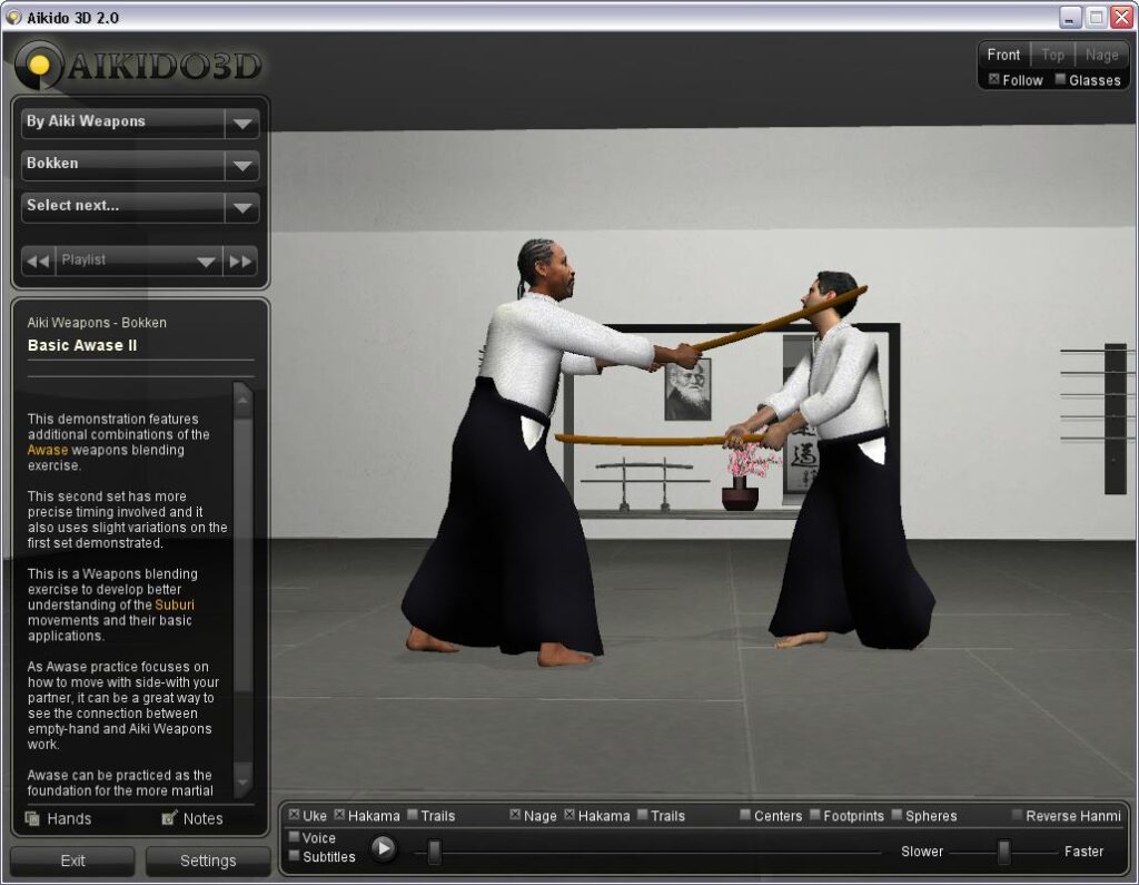 Aikido 3D Sparring