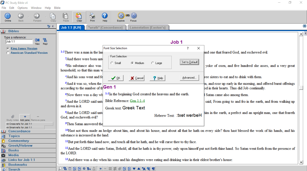 PC Study Bible Select font size