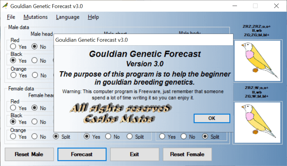 Gouldian Genetic Forecast About screen