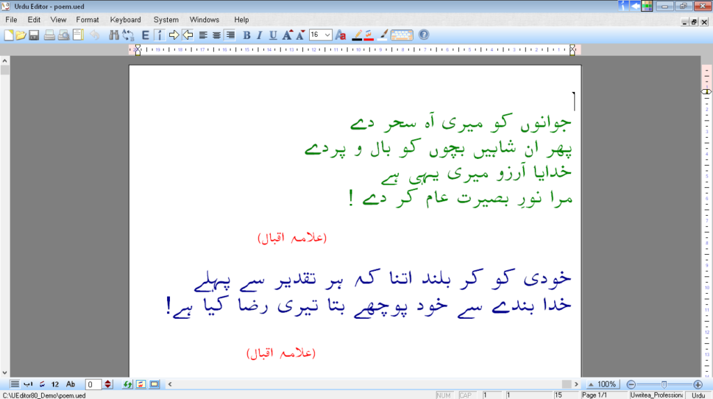 Urdu Editor Write in Urdu language