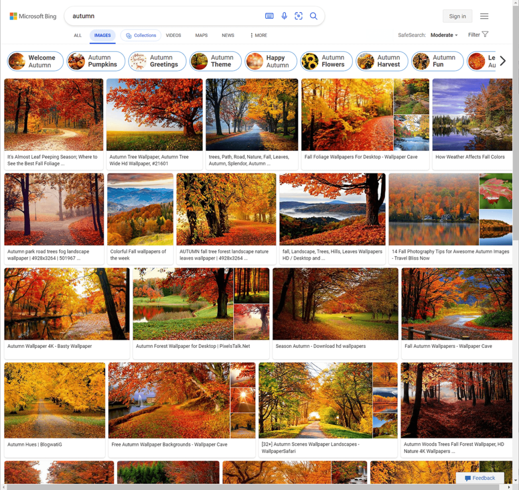 Bing Image finder