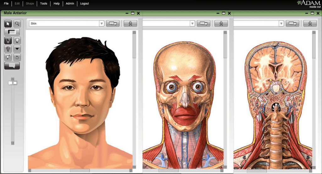ADAM Interactive Anatomy Educational materials