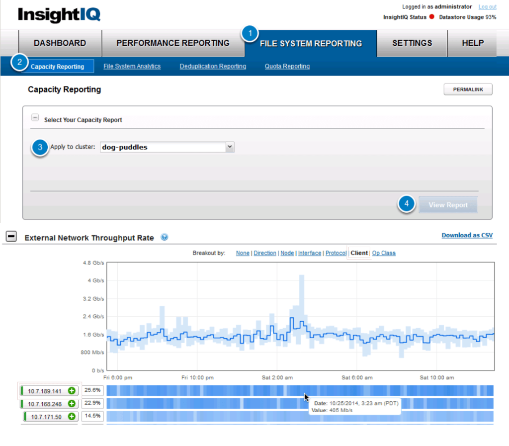 InsightIQ Server statistics