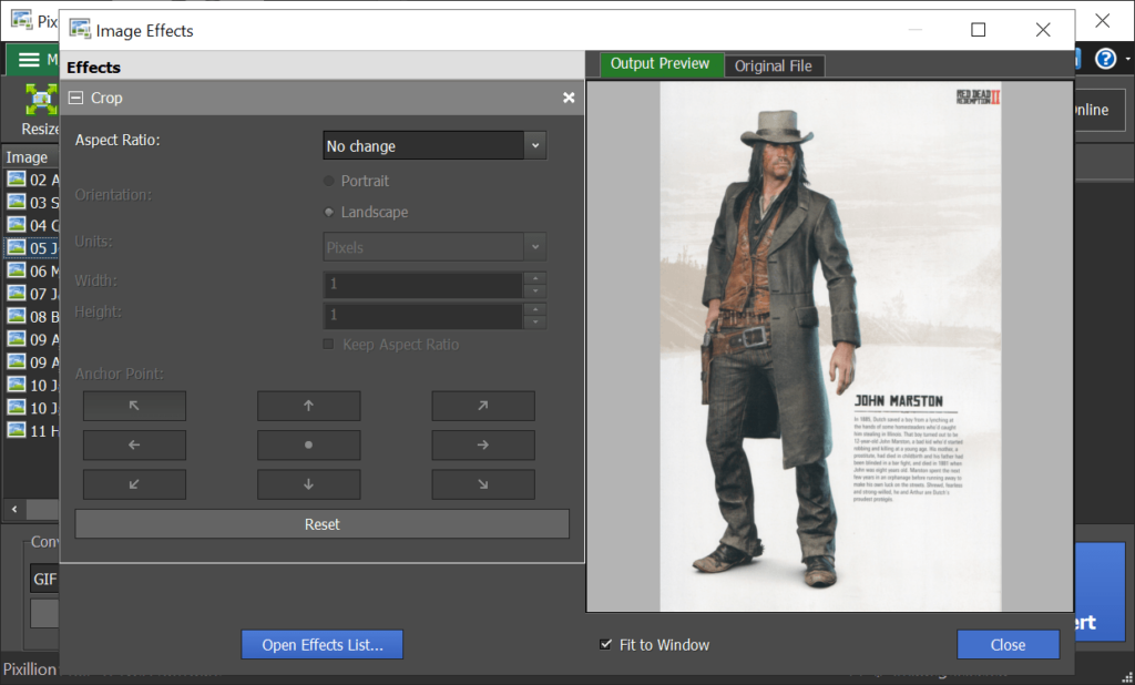Pixillion Image Converter Cropping tools