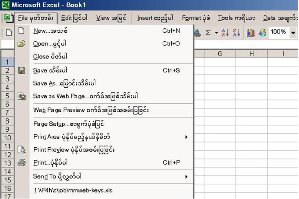 Win Myanmar Systems Excel interface