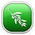 Olive Video Editor