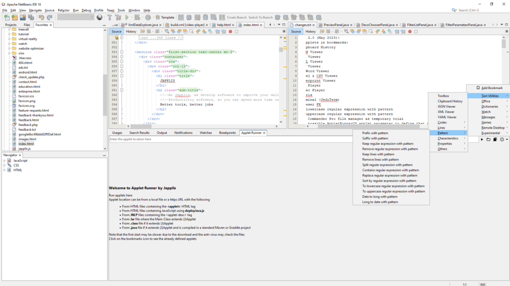 Apache NetBeans 24 Code editor