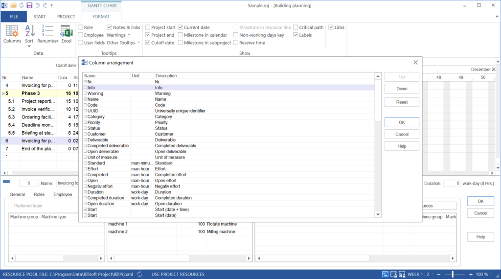 Rillsoft Project Column arrangement