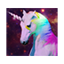 UDP Unicorn