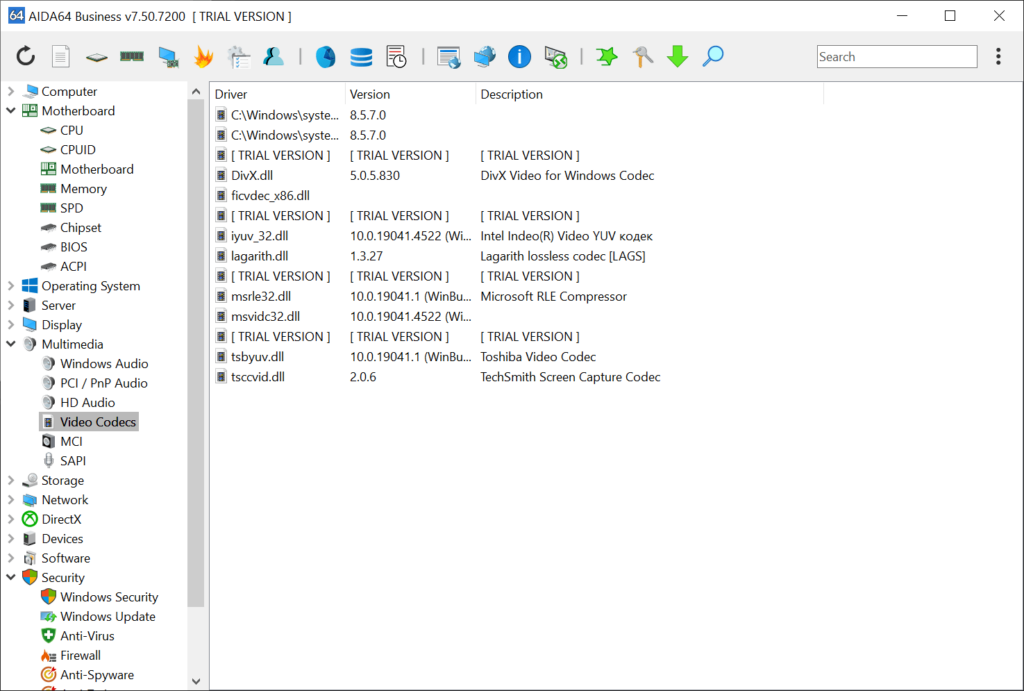 AIDA64 Business Installed video codecs