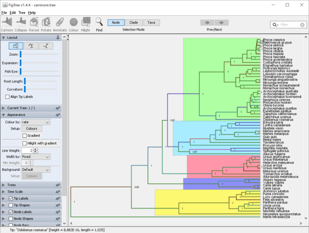 FigTree Sample project